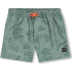 Badeshorts 'Mix & Match Cali Print 13'