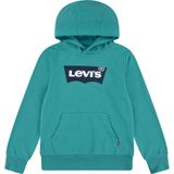 Sweatshirt 'Batwing'