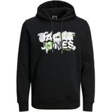 Sweatshirt 'JJDust'