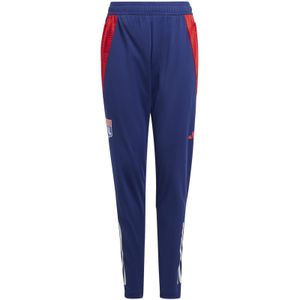 Sporthose