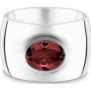 Quinn - Dames Ring - 925 / - zilver - edelsteen - 21039663