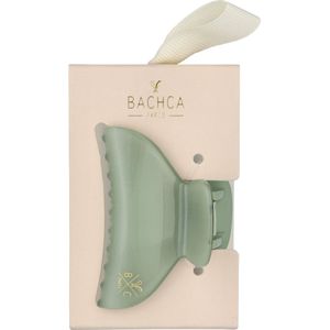 Bachca Paris Opaline Vert D'Eau Hair Clip