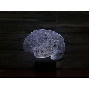 3D Led Lamp Met Gravering - RGB 7 Kleuren - Hersenen