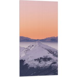 WallClassics - Vlag - Piek van een Berg met Sneeuw - 50x100 cm Foto op Polyester Vlag