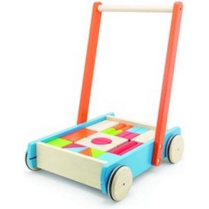 Pintoy Baby Walker Duwwagen met Blokken - Speelgoed - Duwwagens/Blokkenwagens