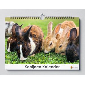 Konijnen Verjaardagskalender 35x24cm | Kalender
