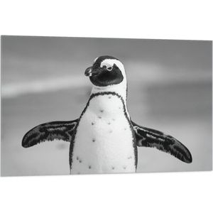 WallClassics - Vlag - Vrolijke Pinguïn Zwart / Wit - 105x70 cm Foto op Polyester Vlag