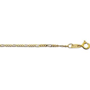 Huiscollectie 4003973X Gouden figaro collier