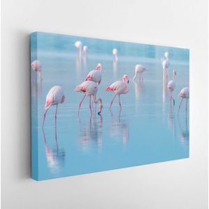 Zwerm vogels roze flamingo wandelen op het blauwe zoutmeer van Cyprus in de stad Larnaca, het concept van romantiek delicate achtergrond van liefde - Moderne kunst canvas - Horizontaal - 1033871533 - 115*75 Horizontal