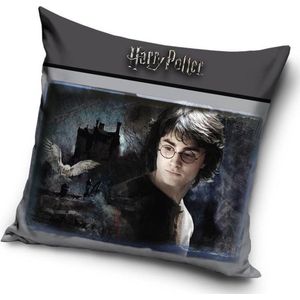 Harry Potter - Sierkussen Kussen 40 x 40 cm inclusief vulling