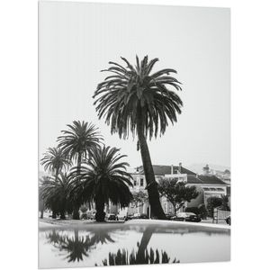 WallClassics - Vlag - Palmbomen in Amerikaanse Buurt (Zwart- wit) - 70x105 cm Foto op Polyester Vlag