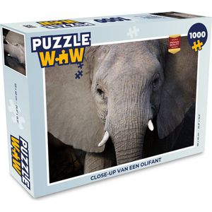 Puzzel Close-up van een olifant - Legpuzzel - Puzzel 1000 stukjes volwassenen