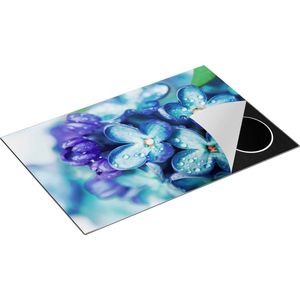Chefcare Inductie Beschermer Blauwe Lila Bloemen - Seringen - 80,2x52,2 cm - Afdekplaat Inductie - Kookplaat Beschermer - Inductie Mat