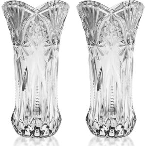 Kurtzy Helder Kristallen Glazen Vazen (2 Pak) – 24,5cm – Modern Decoratieve Melodia Cylinder Glazen Bloemen Vaas Set voor Huis Kopstuk en Kantoor Decor