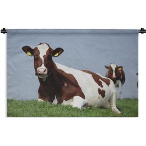 Wandkleed Friese koe Luxurydeco - Bruin-witte koe ligt te rusten op een dijk Wandkleed katoen 150x100 cm - Wandtapijt met foto