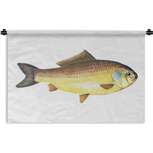 Wandkleed Vissen - Gouden giebel vis op een witte achtergrond Wandkleed katoen 150x100 cm - Wandtapijt met foto