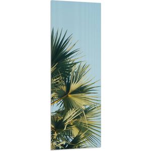 WallClassics - Vlag - Palmbomen met Blauwe Lucht - 50x150 cm Foto op Polyester Vlag