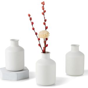 Mini Witte Bloemenvaas - Kleine Bud Vazen voor Gedroogde Kunstbloemen 3 stks Leuke Scandinavische Vazen voor Woonkamer Minimalistische Kleine Vaas voor Bruiloft Kerst Verjaardag Tafelstuk