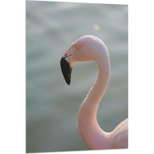 WallClassics - Vlag - Gezicht van Roze FLamingo - 80x120 cm Foto op Polyester Vlag