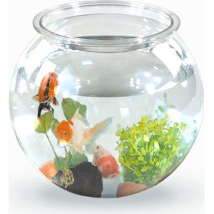 Mobiclinic Nemo - Transparant aquarium 4L - Milieuvriendelijk PET - Gemakkelijk schoon te maken - Middenstuk - Watertuin