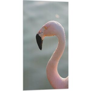 WallClassics - Vlag - Gezicht van Roze FLamingo - 50x100 cm Foto op Polyester Vlag