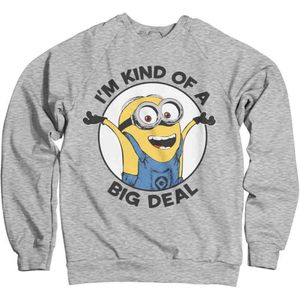 Minions Sweater/trui -L- I'm Kind Of A Big Deal Grijs