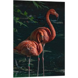 WallClassics - Vlag - Flamingo Duo tussen Groene Takken - 60x90 cm Foto op Polyester Vlag