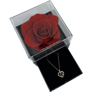 I Love You Ketting In 100 Talen - Gift Box Met Roos En Ketting - Cadeau Voor Vrouwen - Cadeau Set - Acryl box Met Roos - Cadeau Doos - Rode Roos