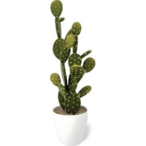 Dulaire Grote Kunstplant Cactus 53 cm