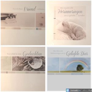 4 Luxe Huisdier Deelneming Condoleance Wenskaarten - 4 Motieven - Oprechte Deelneming - Condoleance Pets - Sterkte - Sterfgeval - Paperclip Cards - Met Envelop - 13.5x13.5cm - Vierkant - Beileid Tier - Condolence Animal