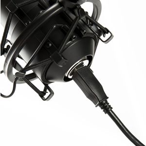 Fame Audio Studio CU2 USB cond.microfoon incl. Samplitude PRO X zilver - USB microfoons