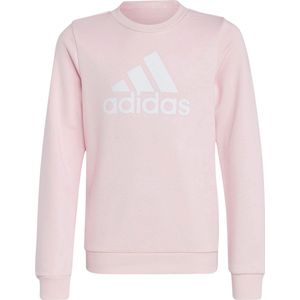 Adidas Essentials Big Logo Sweater Junior