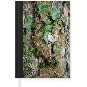 Notitieboek - Schrijfboek - De groene Hedera bladeren op een boom - Notitieboekje klein - A5 formaat - Schrijfblok