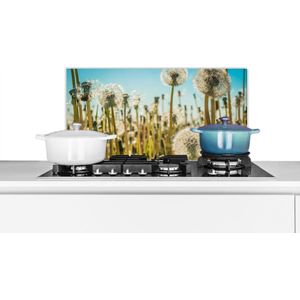 Spatscherm keuken 70x30 cm - Kookplaat achterwand Bloemen - Paardenbloem - Grasveld - Muurbeschermer - Spatwand fornuis - Hoogwaardig aluminium