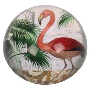 Presse papier Flamingo, Ø8xH3,5cm