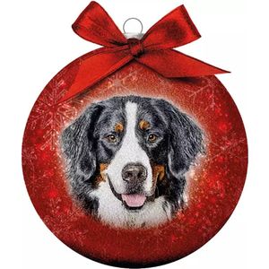 Plenty Gifts Kerstbal - Frosted Berner Sennen - 10 cm