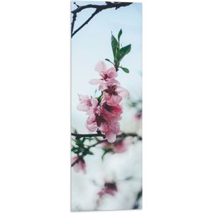 WallClassics - Vlag - Tak met Roze Bloementjes - 30x90 cm Foto op Polyester Vlag