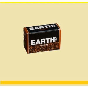 Earth Tea Munt thee munt biologisch 2 gr per zakje, doosje 30 zakjes