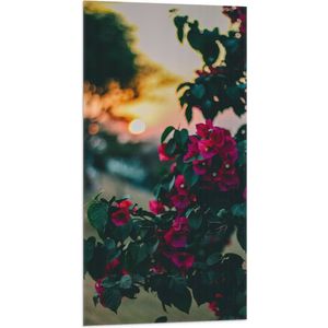 WallClassics - Vlag - Roze Bloemenstruik voor Zonsondergang - 50x100 cm Foto op Polyester Vlag