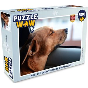 Puzzel Hond die geniet van de buitenlucht - Legpuzzel - Puzzel 500 stukjes