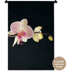 Wandkleed - Wanddoek - Orchidee - Bloemen - Zwart - Roze - Knoppen - 60x90 cm - Wandtapijt