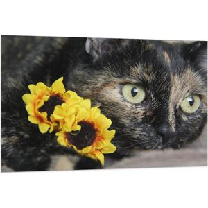 WallClassics - Vlag - Zwarte Poes met Gele Bloemen - 120x80 cm Foto op Polyester Vlag