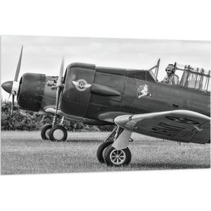 WallClassics - Vlag - Piloot in Stuntvliegtuig in het zwart-wit - 120x80 cm Foto op Polyester Vlag