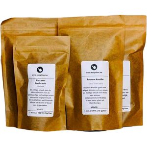 Dammann Frères - Thee pakket infusies - Zonder cafeïne - Kamille - Rooibos - Magic ginger - Herdersinfuus - Voor 150 a 200 kopjes + gratis blik - 1 x #3490 - 1 x #0450 - 1 x #0571 - 1 x 3732 + 1 x #5740