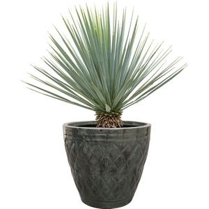 TS Collection - Bloempot Caisa - Set van 6 - Aluminium - Ocean