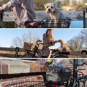 Olav fietsmand achterop, hondenmand achterop voor bagagerek, metalen fietsmand inclusief montage, weerbestendig - zwart