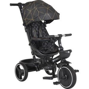 Cangaroo Fusion Black Driewieler met Duwstang 110337