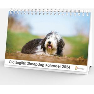 Bureaukalender 2024 - Old English Sheepdog - 20x12cm - 300gms