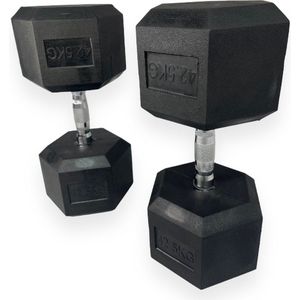 Padisport - Dumbell 42,5 Kg - Hex Dumbells 42,5 Kg - Hexagon Dumbells - Fitness Gewicht 42,5 Kg - Hexa Dumbell 42,5 Kg - Dumbbells - Dumbell Set - Halter