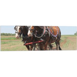 WallClassics - Vlag - Paarden in de Landbouw - 90x30 cm Foto op Polyester Vlag
